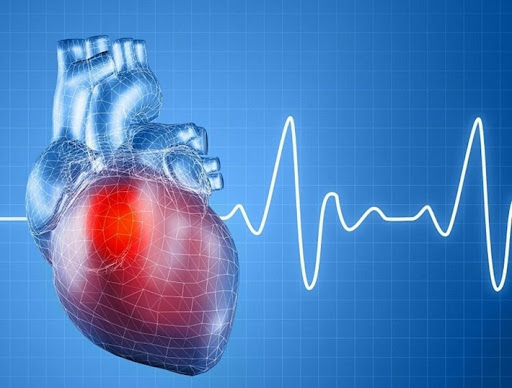 Nguyên nhân gây bệnh tim mạch